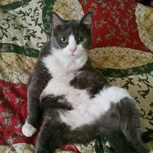 Meet your Posher, Wendy